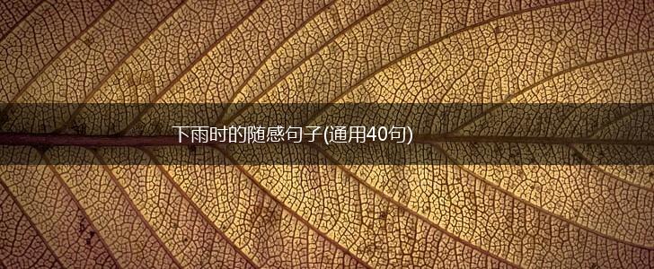 下雨时的随感句子(通用40句),第1张