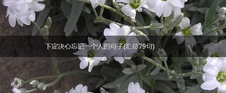 下定决心忘记一个人的句子(汇总79句),第1张