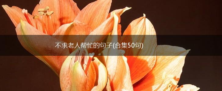 不求老人帮忙的句子(合集50句),第1张