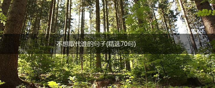 不想取代谁的句子(精选70句),第1张
