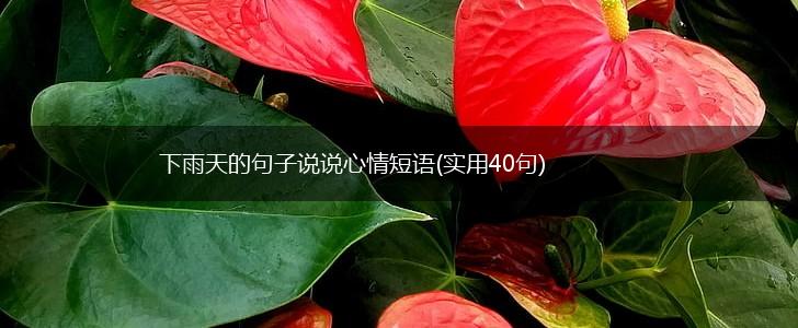 下雨天的句子说说心情短语(实用40句),第1张
