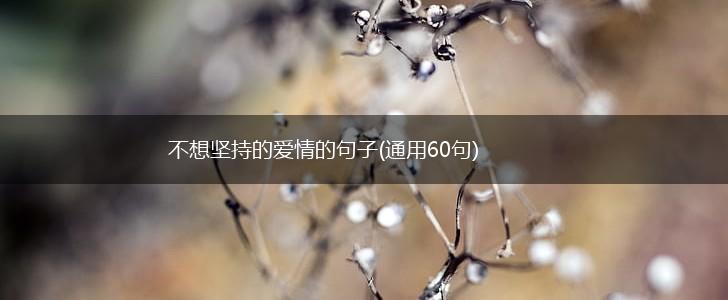 不想坚持的爱情的句子(通用60句),第1张