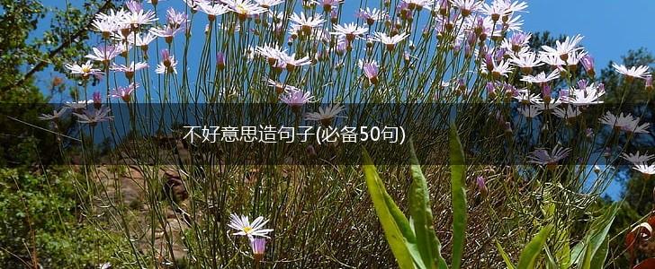 不好意思造句子(必备50句),第1张