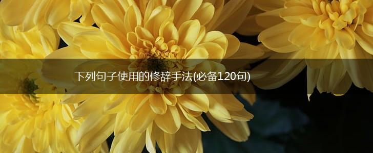下列句子使用的修辞手法(必备120句),第1张