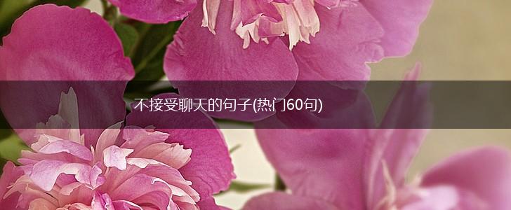 不接受聊天的句子(热门60句),第1张