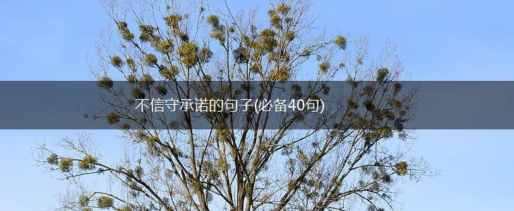 不信守承诺的句子(必备40句),第1张