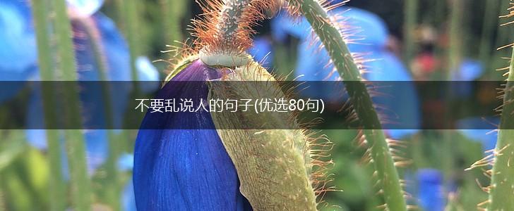 不要乱说人的句子(优选80句),第1张