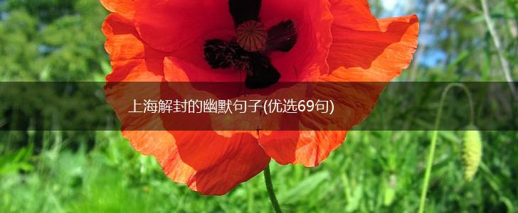 上海解封的幽默句子(优选69句),第1张