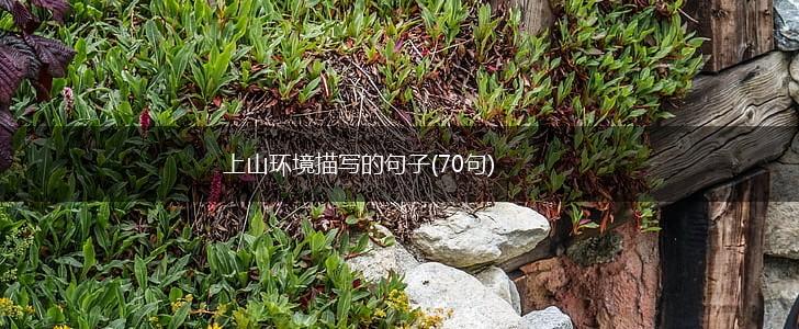 上山环境描写的句子(70句),第1张