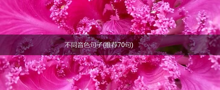 不同音色句子(推荐70句),第1张