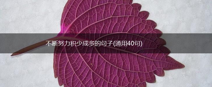 不断努力积少成多的句子(通用40句),第1张