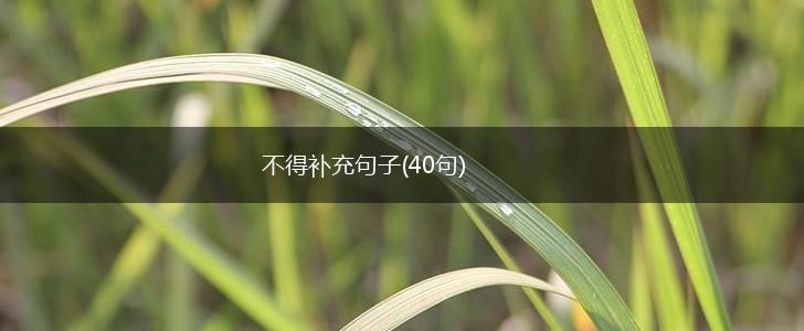 不得补充句子(40句),第1张