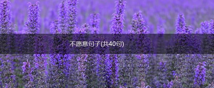 不愿意句子(共40句),第1张
