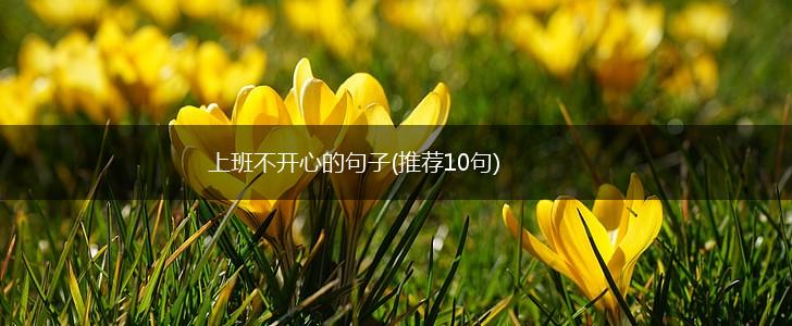 上班不开心的句子(推荐10句),第1张