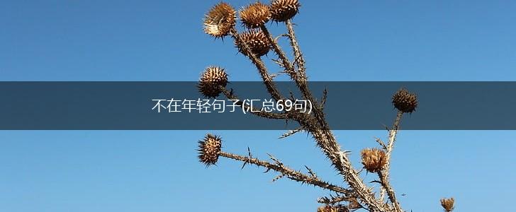 不在年轻句子(汇总69句),第1张