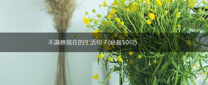 不满意现在的生活句子(必备50句),第1张
