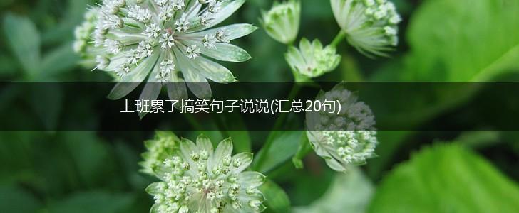上班累了搞笑句子说说(汇总20句),第1张