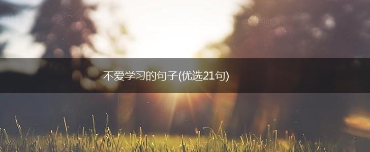 不爱学习的句子(优选21句),第1张