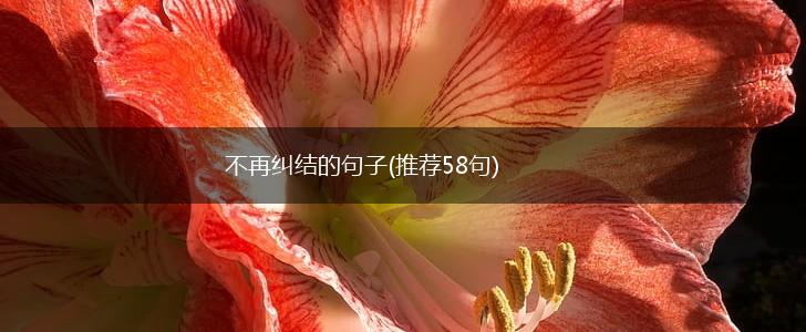 不再纠结的句子(推荐58句),第1张