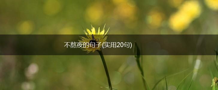 不熬夜的句子(实用20句),第1张