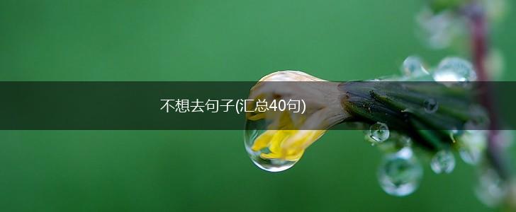 不想去句子(汇总40句),第1张