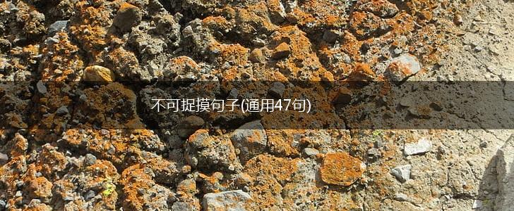 不可捉摸句子(通用47句),第1张