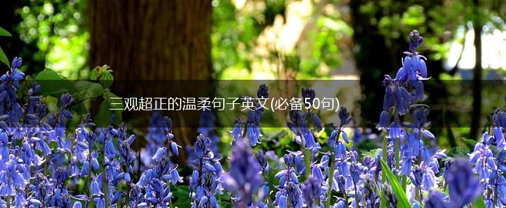 三观超正的温柔句子英文(必备50句),第1张