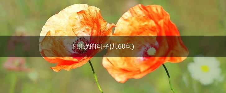 下班晚的句子(共60句),第1张
