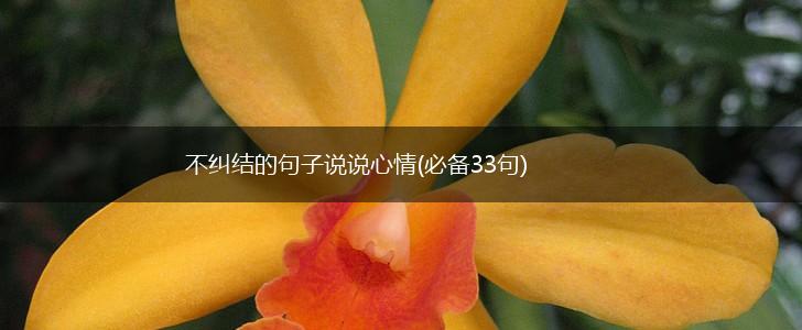 不纠结的句子说说心情(必备33句),第1张