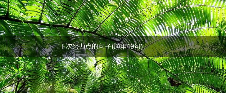 下次努力点的句子(通用49句),第1张