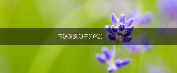 不够善良句子(40句),第1张