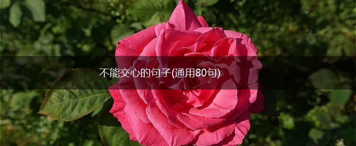不能交心的句子(通用80句),第1张