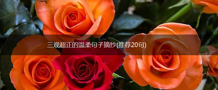 三观超正的温柔句子摘抄(推荐20句),第1张