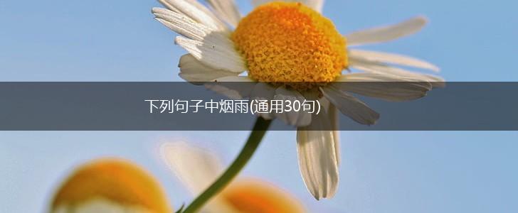 下列句子中烟雨(通用30句),第1张