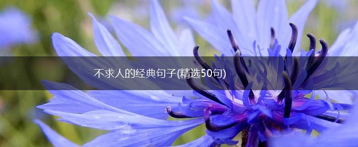 不求人的经典句子(精选50句),第1张