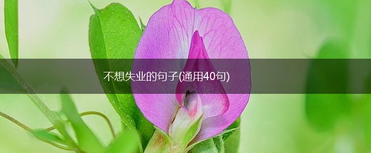 不想失业的句子(通用40句),第1张
