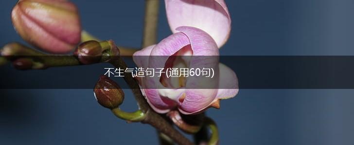 不生气造句子(通用60句),第1张