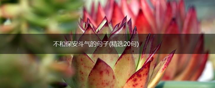 不和保安斗气的句子(精选20句),第1张