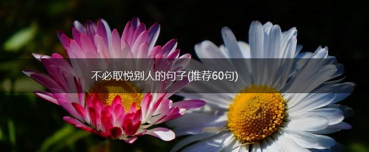 不必取悦别人的句子(推荐60句),第1张