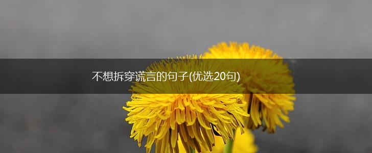不想拆穿谎言的句子(优选20句),第1张