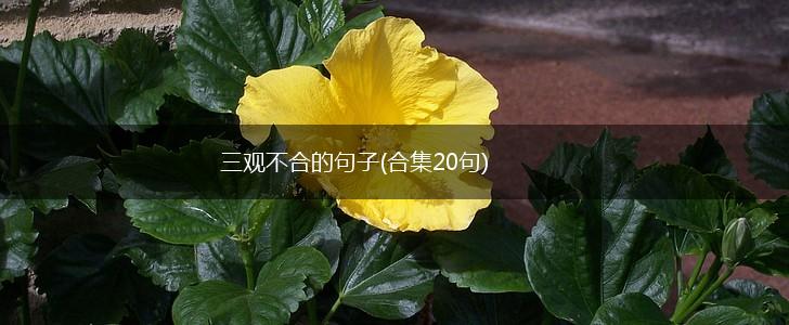 三观不合的句子(合集20句),第1张
