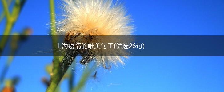 上海疫情的唯美句子(优选26句),第1张