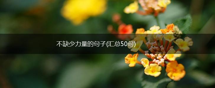 不缺少力量的句子(汇总50句),第1张