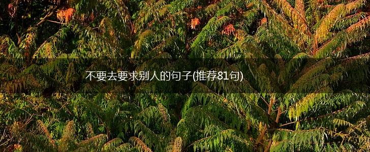 不要去要求别人的句子(推荐81句),第1张