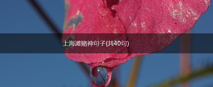 上海滩赌神句子(共40句),第1张