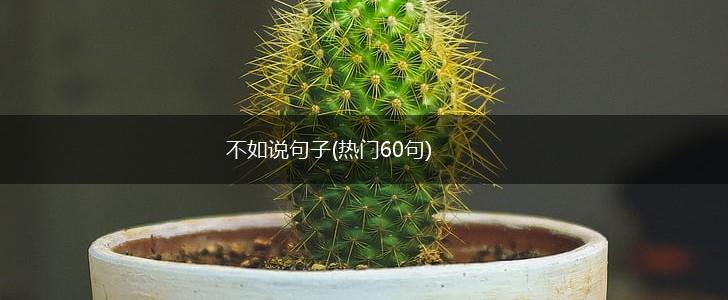 不如说句子(热门60句),第1张