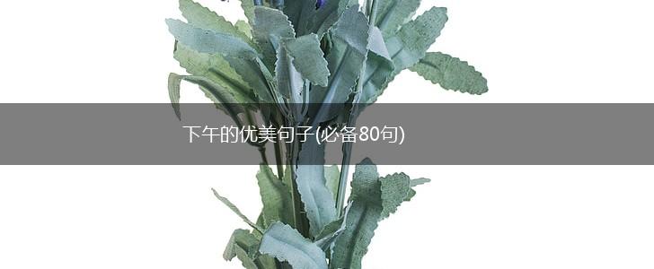 下午的优美句子(必备80句),第1张
