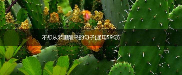 不想从梦里醒来的句子(通用59句),第1张