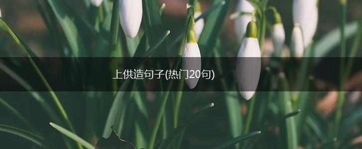 上供造句子(热门20句),第1张