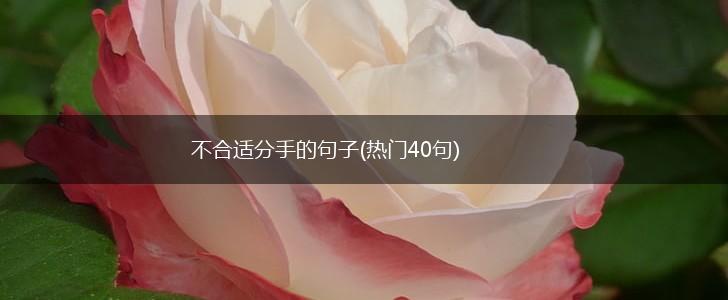不合适分手的句子(热门40句),第1张